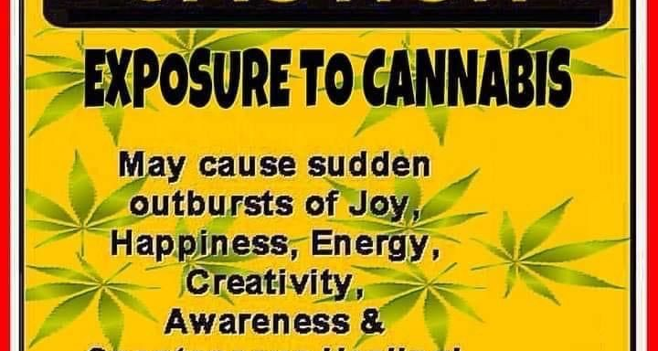 Cannabis Sativa: One-Plant-One-Medicine for Many Diseases-Therapeutic Uses-A Review of Evidence