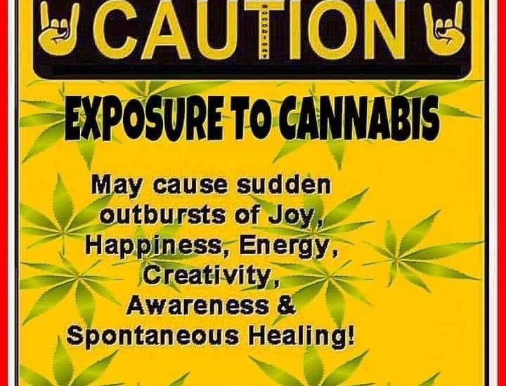 Figure-1: Warning sign for Cannabis sativa L.