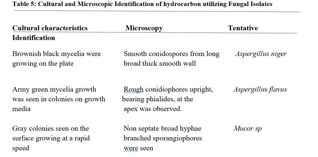 Cultural and Microscopic Identification of hydrocarbon utilizing Fungal Isolates