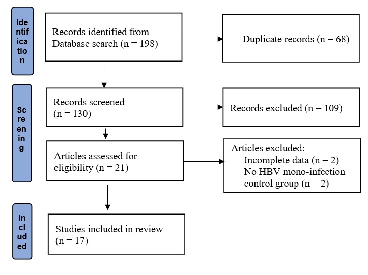Flow diagram of the selection of studies.