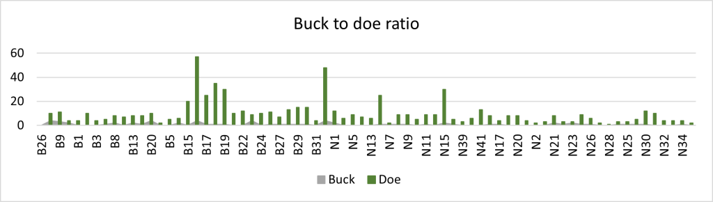 Buck to doe ratio