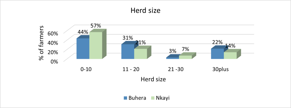Herd size
