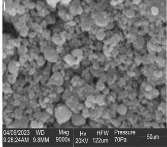 SEM Micrograph for CD from plastic waste