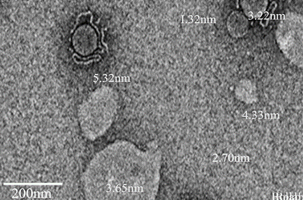 TEM Micrograph for CD from plastic waste