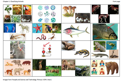 Using Cognitive Strategies in Teaching Animal Classification and Vocabulary Acquisition for Grade Four Thai Learners
