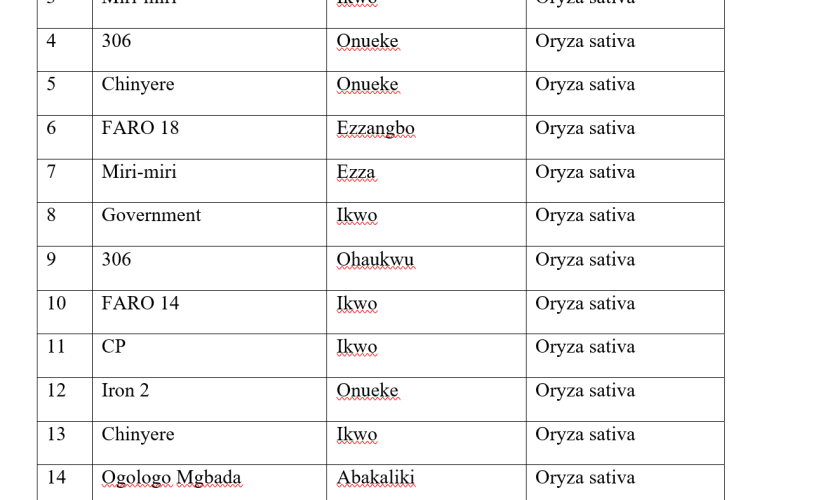 Exploring the Morphological Diversity of Selected Abakaliki Local Rice Cultivars: A Study of Key Physical Traits and Variations