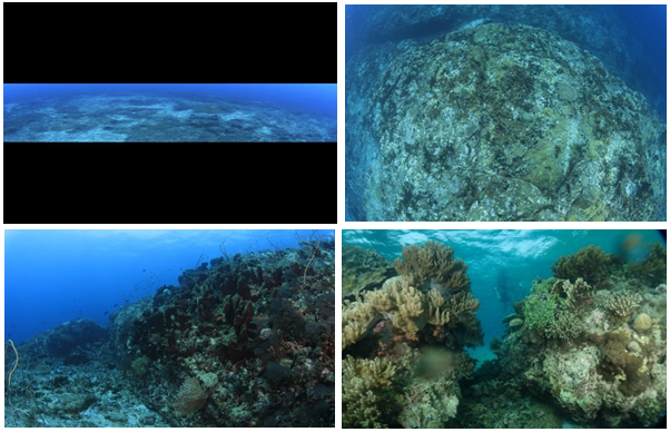 Condition of damaged and dead coral reefs in Perjuangan Village