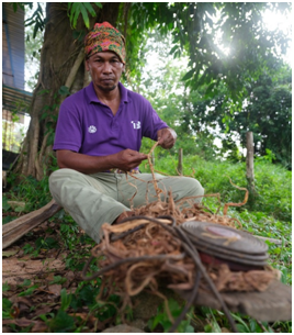 Figure 4: The process of making a rope using wood bark twisted by hand.