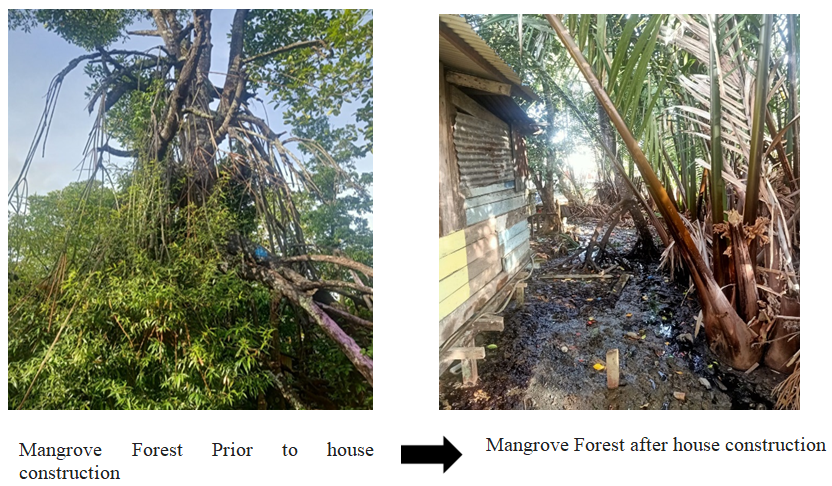 Various economic activities in the Mangrove Forest of the Wosi Village (source: private documents)
