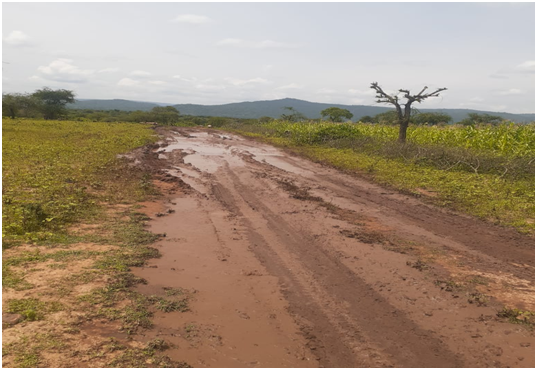 Plate 3: State of the Road in Kanyarkwat
