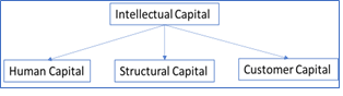 Identify Variables to Measure Intellectual Capital in organizations: A Literature Review.