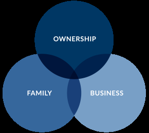 The Systems Theory Model of Family Business