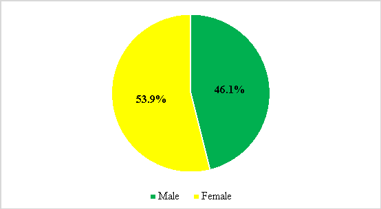 Distribution of visitors by gender