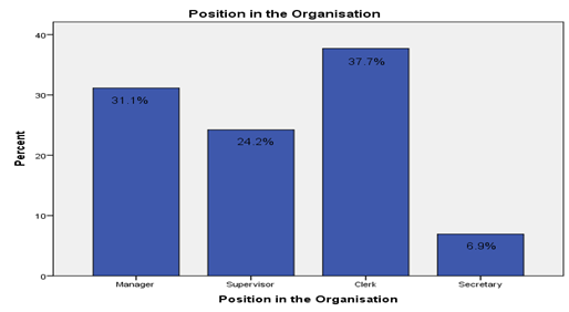 position in the organisation