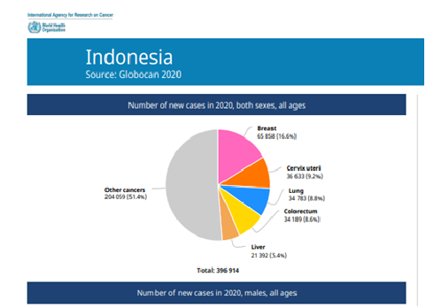 Number of Cancer Patients in Indonesia