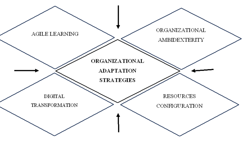 Unpacking Organizational Adaptation Strategies: A Conceptual Review