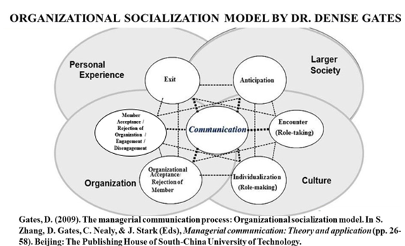 Leveraging Organizational Socialization to Enhance Employability