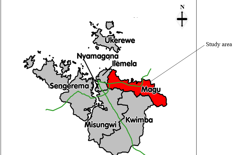 A History of Management of the Intangible Cultural Heritage Resources within the Sukuma: A Case of Magu District from 1860s to 2020s