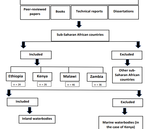 Sustainability of the Sub-Saharan African Capture Fisheries and Aquaculture Value Chains: A Review of The Roles and Challenges of Youths and Women in Ethiopia, Kenya, Malawi and Zambia.