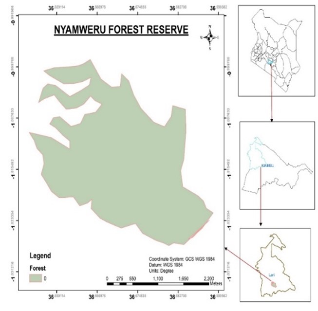 ngome forest africa map article        <h3 class=