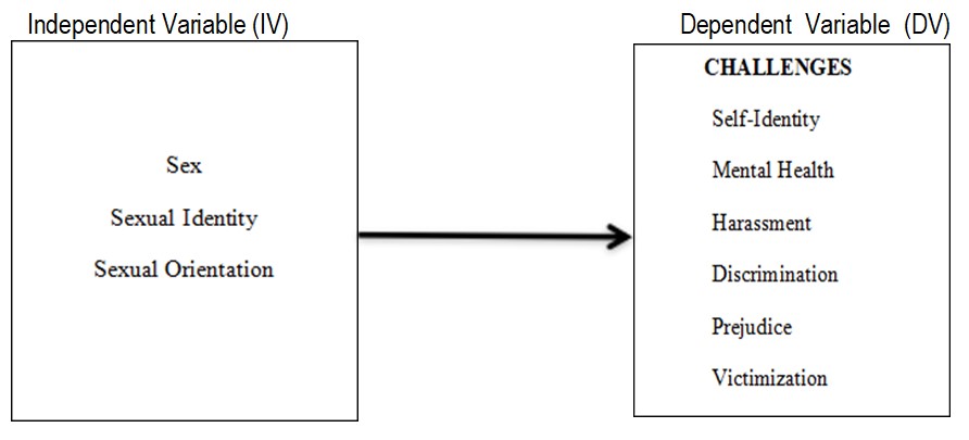 Schematic Diagram of Conceptual Framework