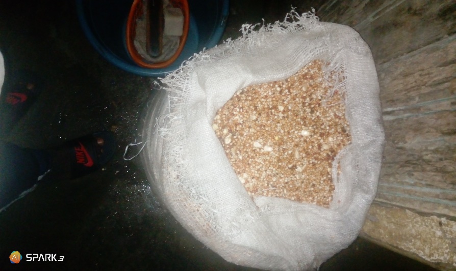 Millet being washed in a bag