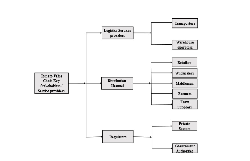 The tomato value chain stakeholders (Zego & Husny, 2023)