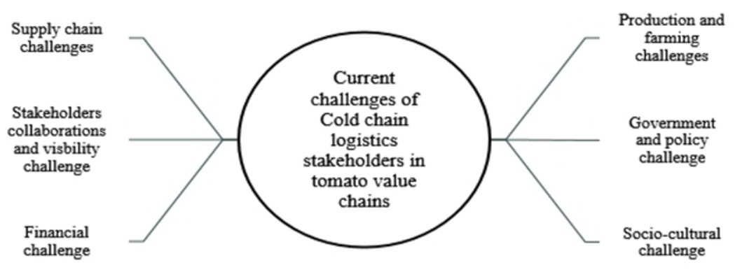 Themes of current challenges of cold chain logistics in the tomato value chains in Nigeria