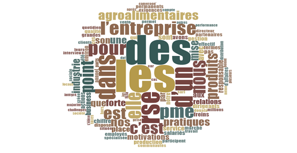 Identification Des Pratiques De La RSE : Une Analyse A Partir Du Discours Des Dirigeants Dans Les PME Agroalimentaires Camerounaises 