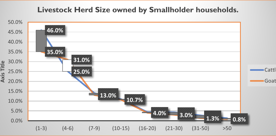 Livestock Herd Size owned by Smallholder households