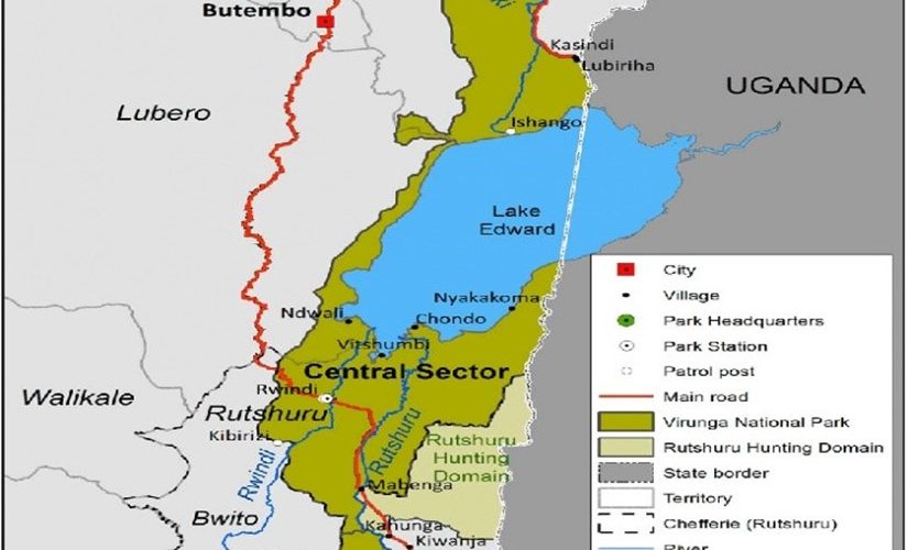 Impacts of Armed Conflicts on Tourism in Protected Areas and Their Environment in Virunga National Park, Democratic Republic of Congo.