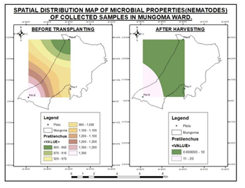 Spatial Distribution of Nematodes at Mungoma Ward test site.