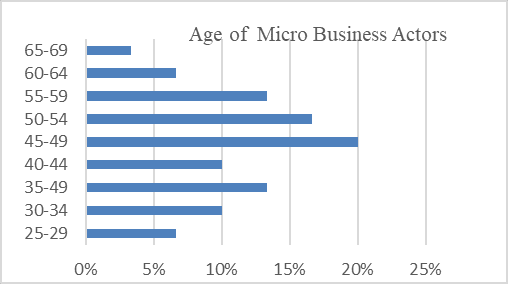 Age of Micro Business Actors