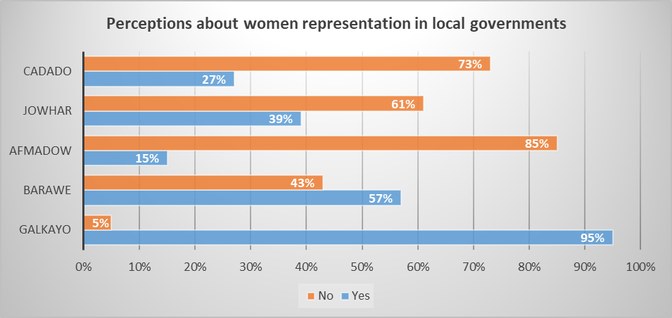 Perceptions about women women's representation in local governments.