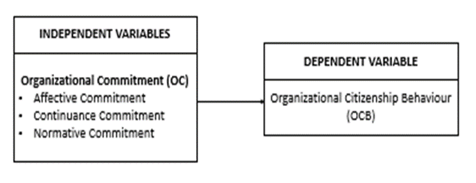 Organizational Commitment and Organizational Citizenship Behaviour: A Study among Public Sector Employees