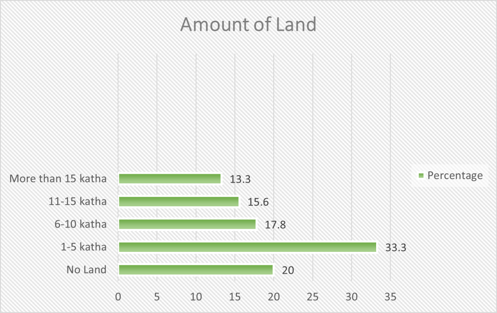 Respondents’ land ownership scenario.