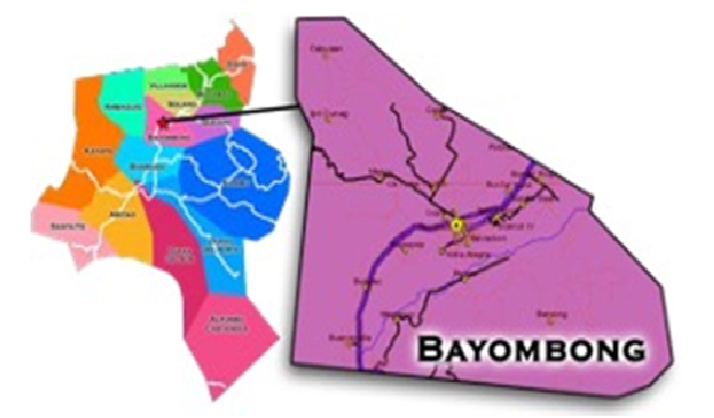 Bayombong, Nueva Vizcaya as a Farm Tourism Destination: Basis for Post-Pandemic Tourism Branding