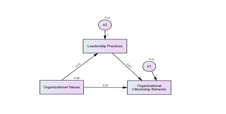The Mediating Effect of Leadership Practices on the Relationship between Organizational Values and Organizational Citizenship Behavior