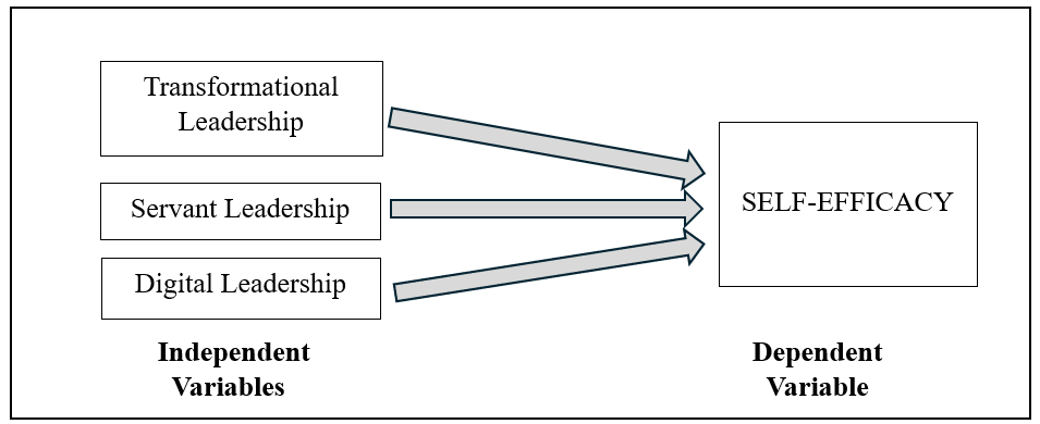 Figure 1 Conceptual framework