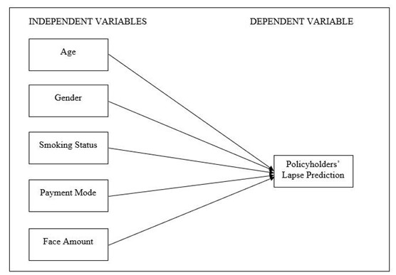 Figure 1. Theoretical Framework for Lapse Prediction in Life Insurance Contracts