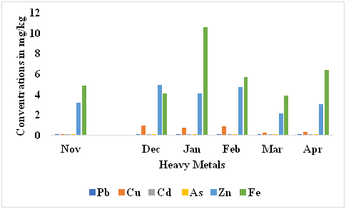 Figure 5: Temporal Variation of Heavy Metals in Swimming Crab (Callinectes amnicola) from Ibaka Creeks.