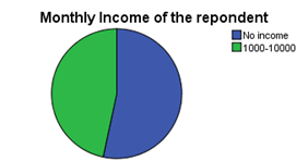 Monthly Income of the respondent