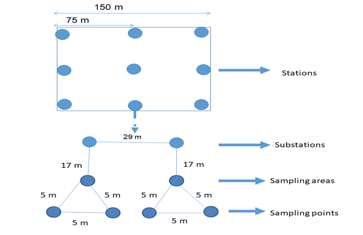 Schematic representation of sampling design [Adopted from Youden and Mehlich 