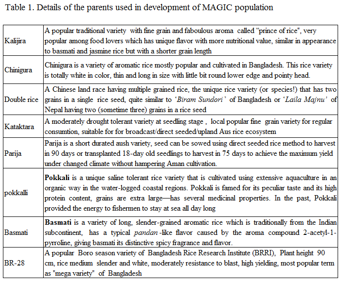 Details of the parents used in development of MAGIC population