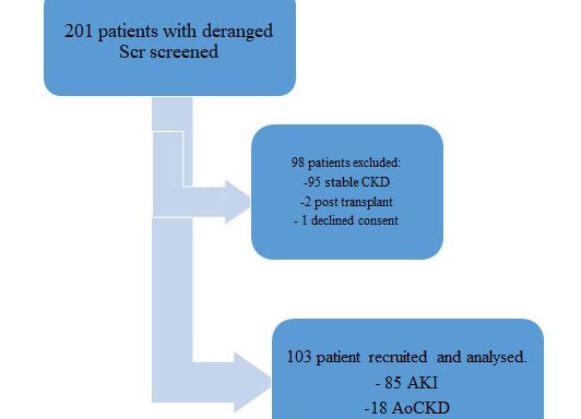 Outcomes of Patients with Acute Kidney Injury at Moi Teaching and Referral Hospital, Eldoret, Kenya