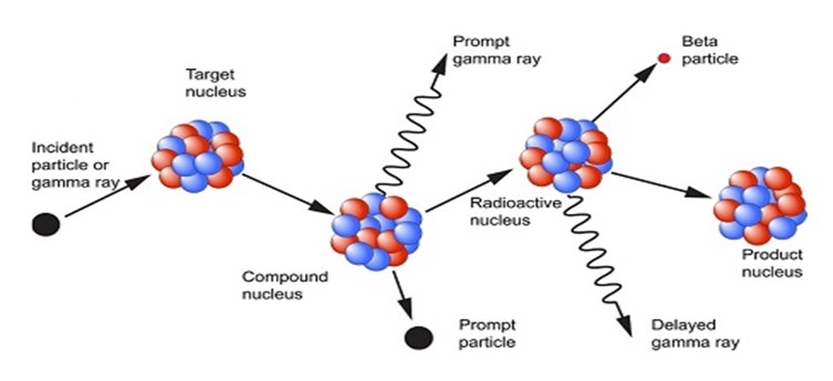 Process of Neutron Capture by a Target Nucleus