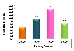 Physiological Productivity of CABBAGE (Brassica oleracea var. capitata L.) in Response to Planting Distance and Rate of Nitrogen Application