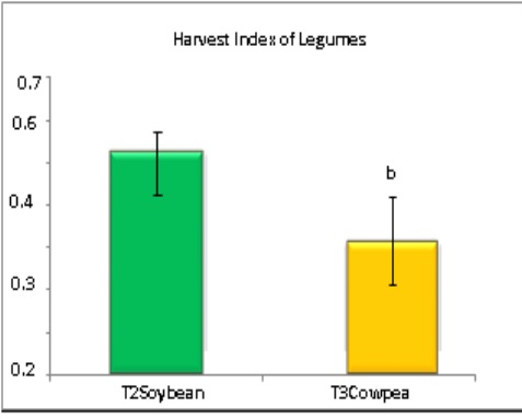 Harvest Index of associated legumes (cowpea and soybean) intercropped with corn.