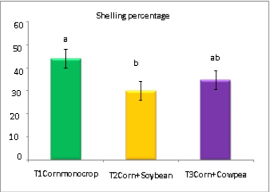 Shelling percentage of corn yield.
