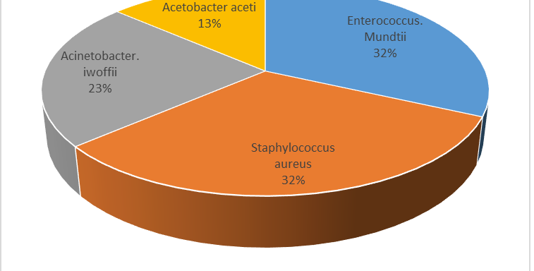 Analysis of Thermophilic and Halophilic Bacteria in Traditonally Processed Locust Beans Sold in Ekiti and Kwara State, Nigeria.